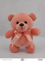 عروسک خرس رنگالو Colorful teddy bear