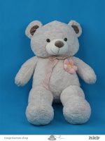 عروسک خرس چارلز Charles teddy bear