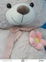 عروسک خرس چارلز Charles teddy bear