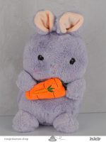 عروسک خرگوش هویج به دست Carrot rabbit doll in hand