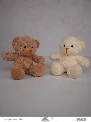 عروسک خرس رنگی رنگی Colorful teddy bear