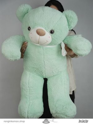 عروسک خرس رنگی Colored teddy bear