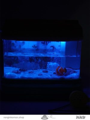 اسباب بازی آکواریوم شیشه ای Glass aquarium toy