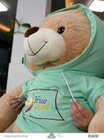 خرس هودی پوش Bear in a hoodie