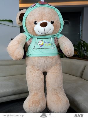 خرس هودی پوش Bear in a hoodie