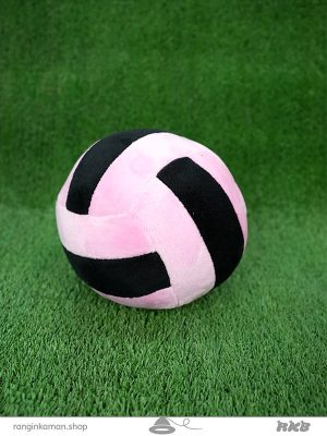 توپ والیبال volleyball ball