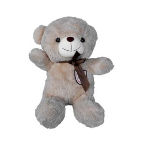 قیمت عروسک خرس انگلیسی کد055
