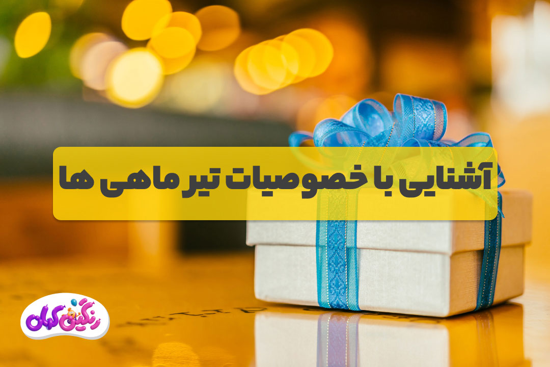 آشنایی با خصوصیات تیرماهی ها