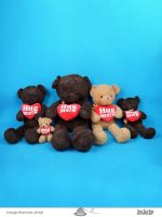 عروسک خرس Hug me کد 021 Teddy bear Hug me